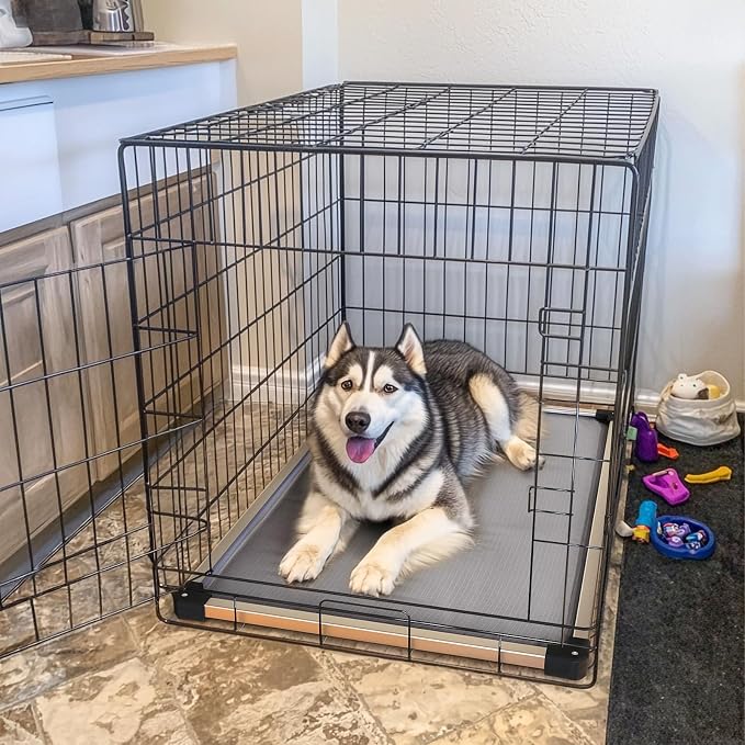 FXW TitanNest Chew-Proof Elevated Dog Bed, Raised Cot - Image 3