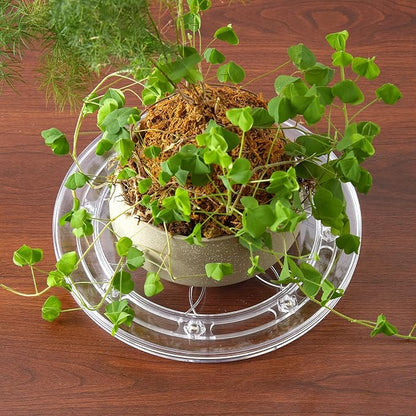 8-Inch Clear Acrylic Lazy Susan Turntable Organizer, 360° Ball Bearing Rotating - Image 6