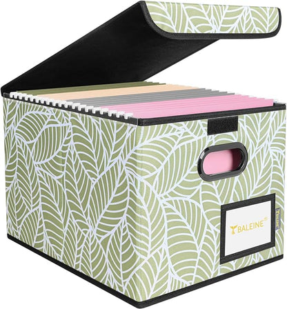 BALEINE File Organizer Box by BALEINE