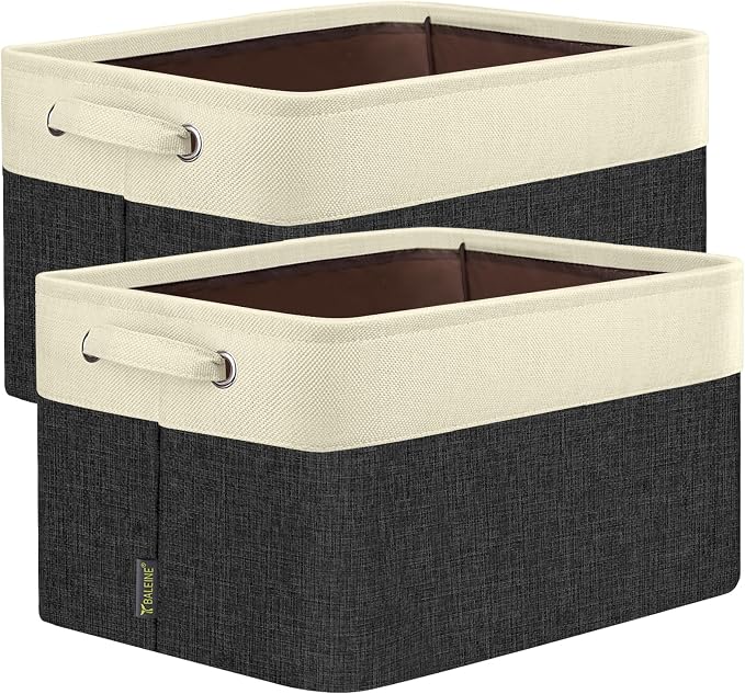 BALEINE 2 Pack Fabric Storage Bins by BALEINE