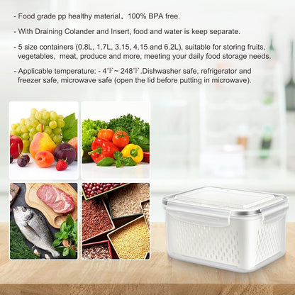 10 PS Fridge Food Storage Container - Image 2