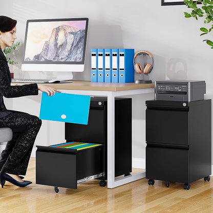 SISESOL Assembled 2 Drawer File Cabinet on Wheels, Metal Filing Cabinet - Image 2