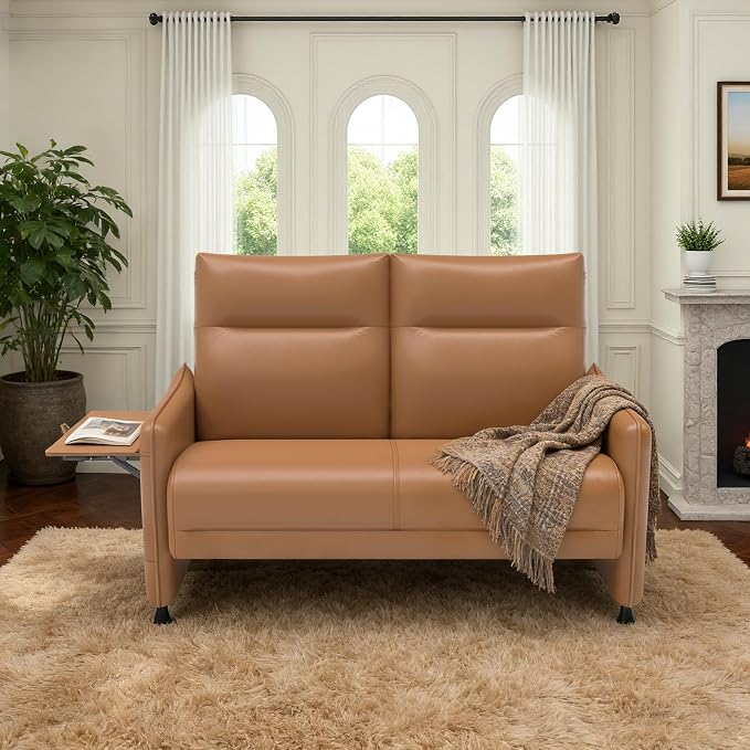 Faux Leather Loveseat, Upholstered Loveseat by Tbillionnext