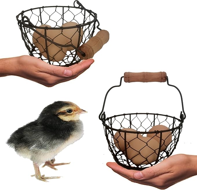 TAIANLE.Small Wire Egg Collecting Basket - Image 3