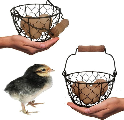 TAIANLE.Small Wire Egg Collecting Basket - Image 3