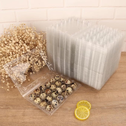 120 Pack Quail Egg Cartons - Image 5