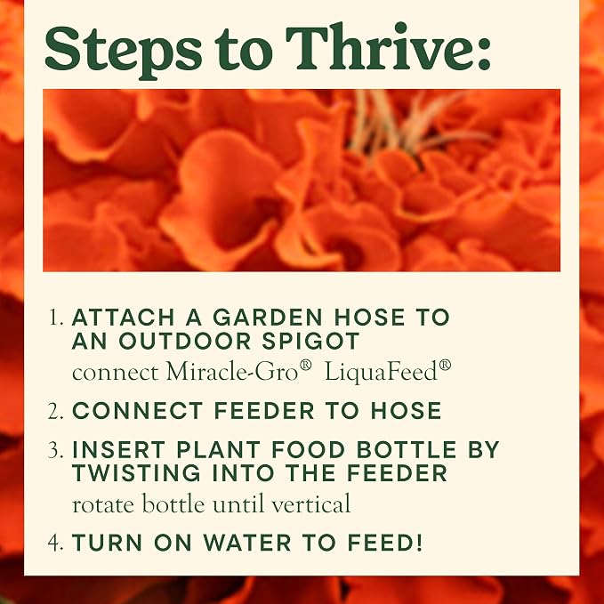 Miracle-Gro Liquafeed Bloom Booster Flower Food, Refill Bottles - Image 5