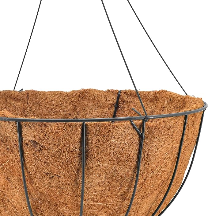 Arcadia Garden Products CB34 Black Grow Basket - Image 2