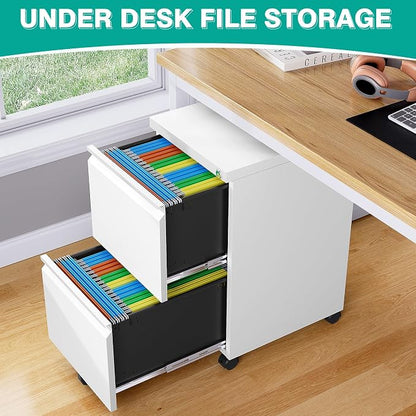 SISESOL Assembled 2 Drawer File Cabinet on Wheels, Metal Filing Cabinet - Image 4