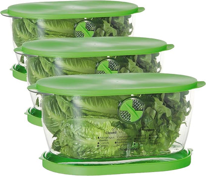 Prep Solutions by Progressive Lettuce Keeper Produce Storage Container by ProgressiveInternational