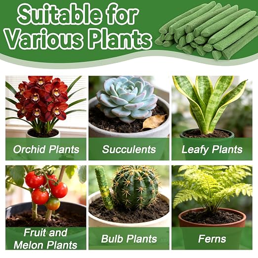 RAINFLOW 90PCS Slow Release Fertilizer Spikes - Image 4
