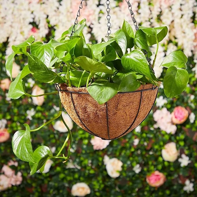 LCHUANG Hanging Baskets Planter - Image 7