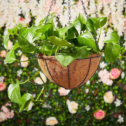 LCHUANG Hanging Baskets Planter - Image 7
