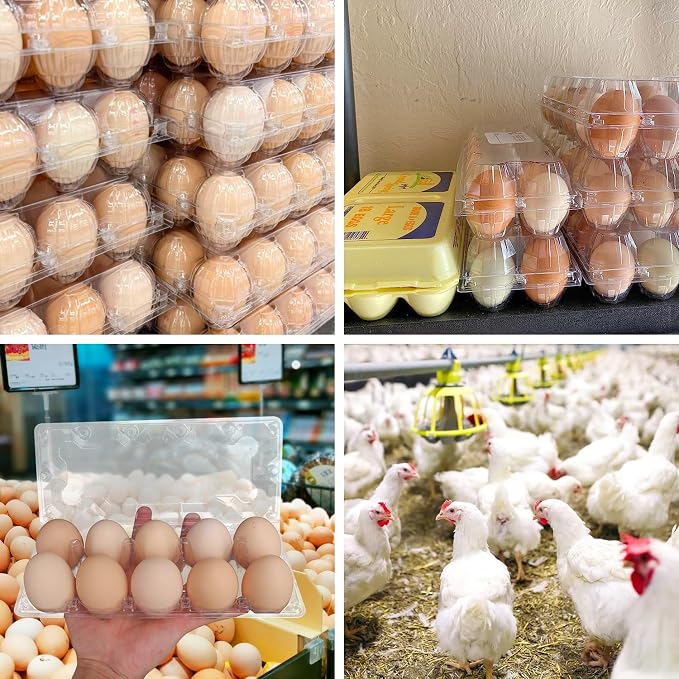 98 Pack Bulk Egg Cartons, Egg Tray Carton Holder - Image 7