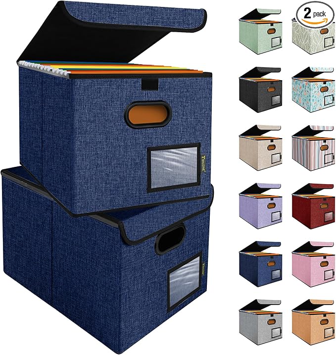 BALEINE File Organizer Box by BALEINE
