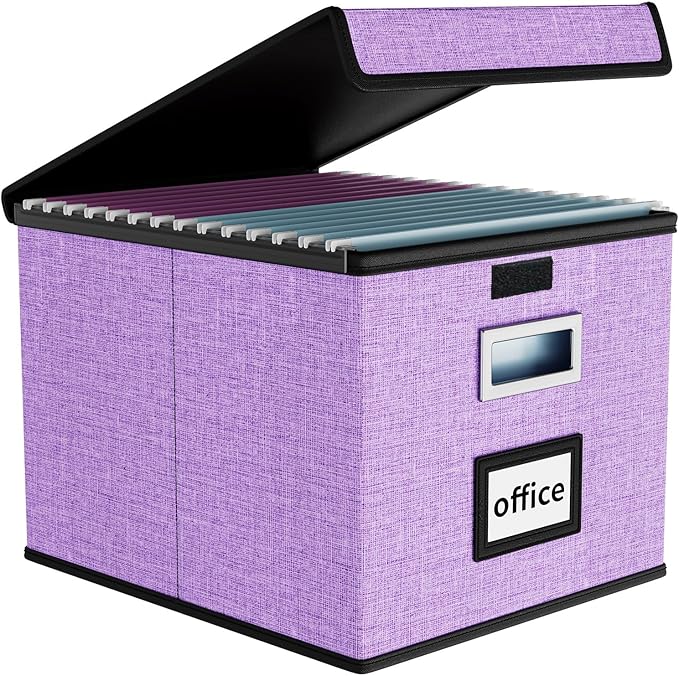 File Organizer Box with Lids, Collapsible File Folder Organizer | File Box with by Huolewa