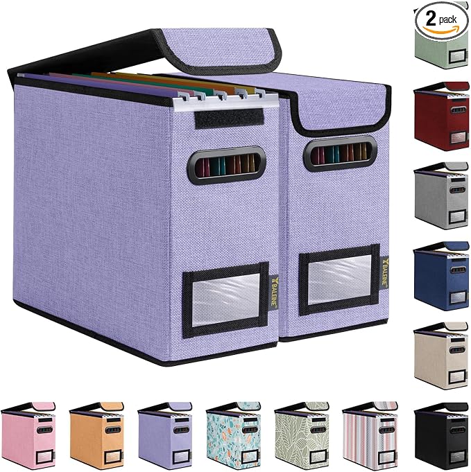 BALEINE File Organizer Box by BALEINE