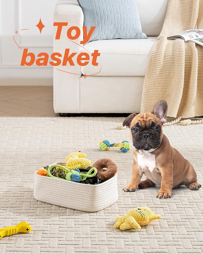 Small Woven Basket, Storage Basket - Image 5