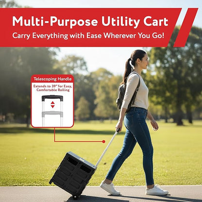 dbest products Quik Cart Pro Wheeled Rolling Crate Teacher Utility - Image 2