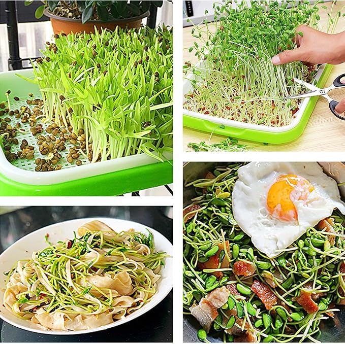 4 Layers Sprout Trays with Extra Strength Plastic Shelf Soil-Free Healthy - Image 6