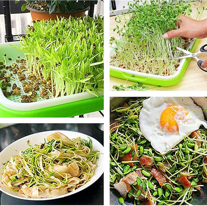 4 Layers Sprout Trays with Extra Strength Plastic Shelf Soil-Free Healthy - Image 6