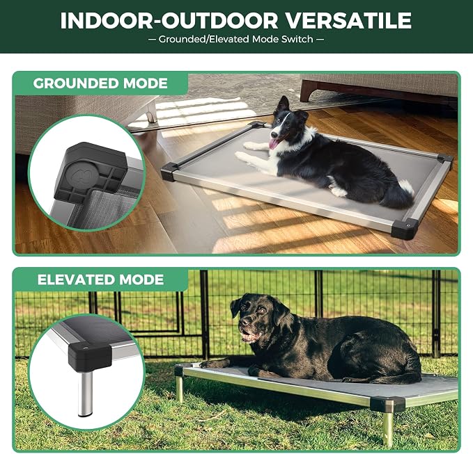 FXW TitanNest Chew-Proof Elevated Dog Bed, Raised Cot - Image 4