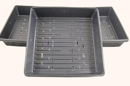 Plant Growing Tray - Image 3