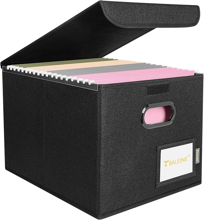 BALEINE File Organizer Box by BALEINE