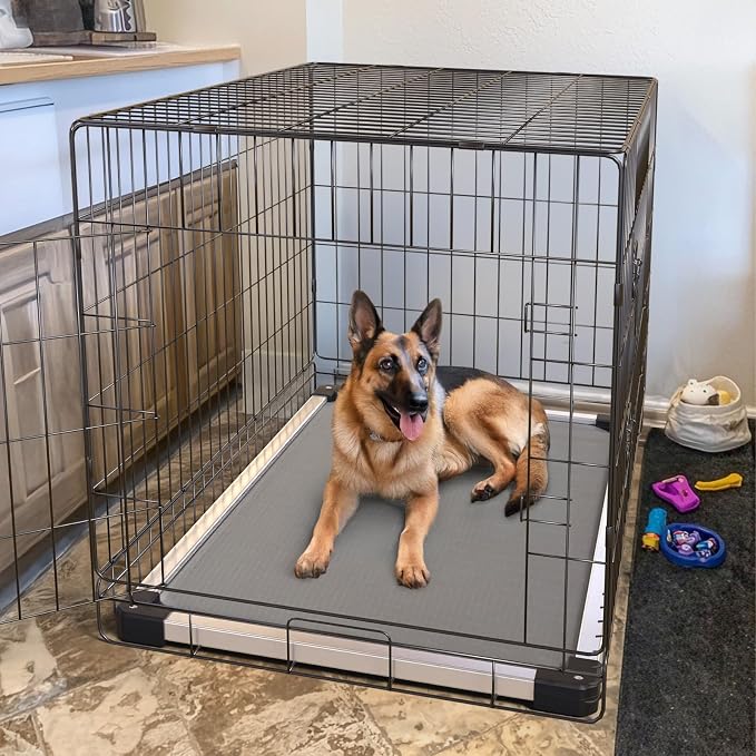 FXW TitanNest Chew-Proof Elevated Dog Bed, Raised Cot - Image 4