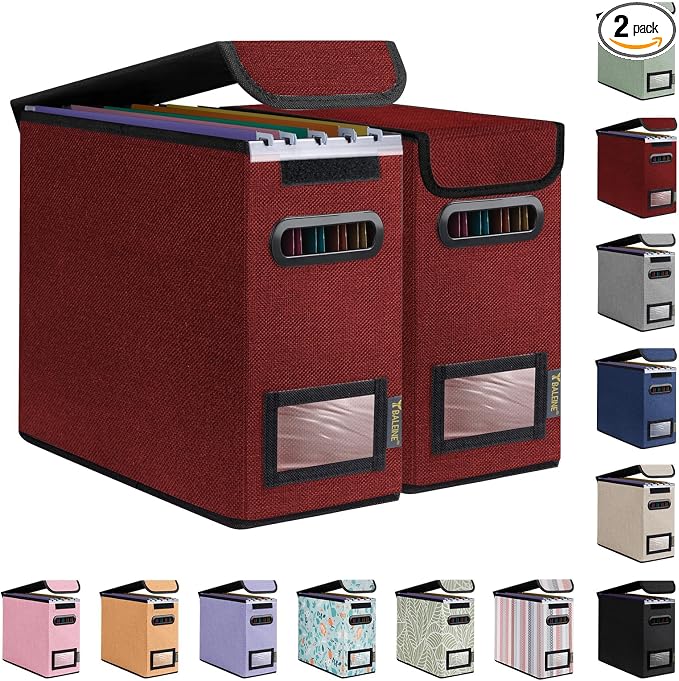 BALEINE File Organizer Box by BALEINE