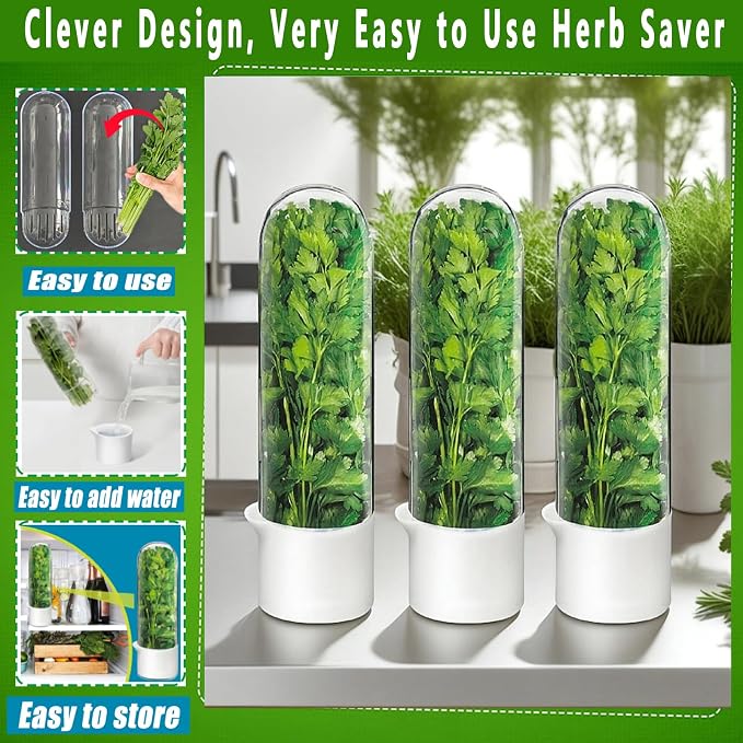 Cilantro Container for Fridge, Herb Saver for Refrigerator - Image 4