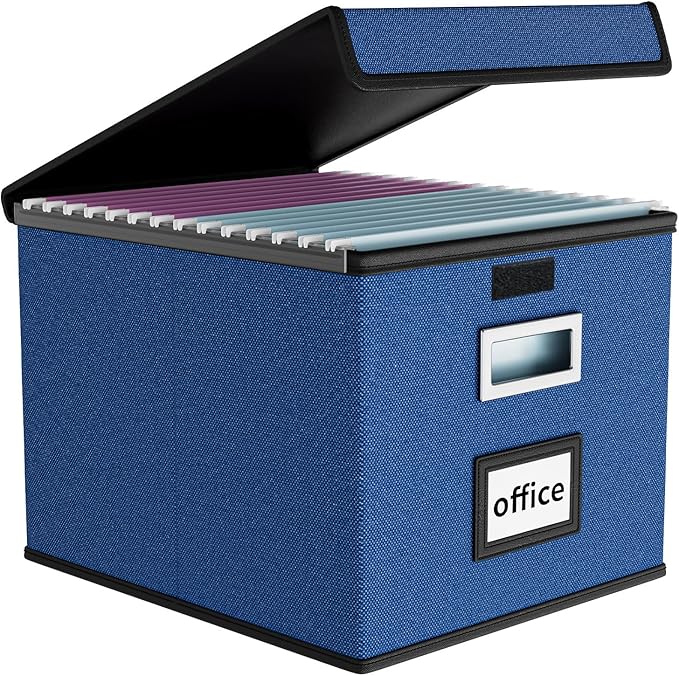 File Organizer Box with Lids, Collapsible File Folder Organizer | File Box with by Huolewa