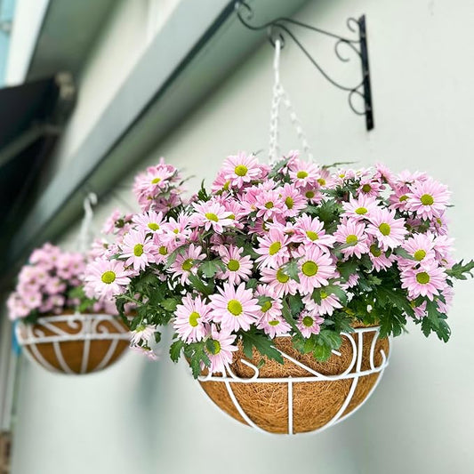 LaLaGreen Hanging Planter for Outdoor Plants White Hanging Baskets by L%C3%A1L%C3%A1Green