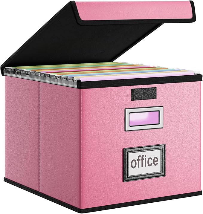 File Organizer Box with Lids, Collapsible File Folder Organizer | File Box with by Huolewa