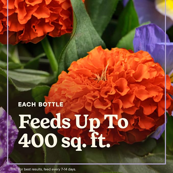 Miracle-Gro Liquafeed Bloom Booster Flower Food, Refill Bottles - Image 3