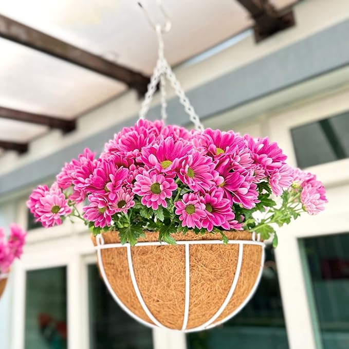 LaLaGreen Hanging Baskets Outdoor Extra Large White Hanging Planter by L%C3%A1L%C3%A1Green