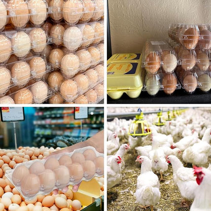 120 Pack Bulk Egg Cartons, Egg Tray Carton Holder - Image 7