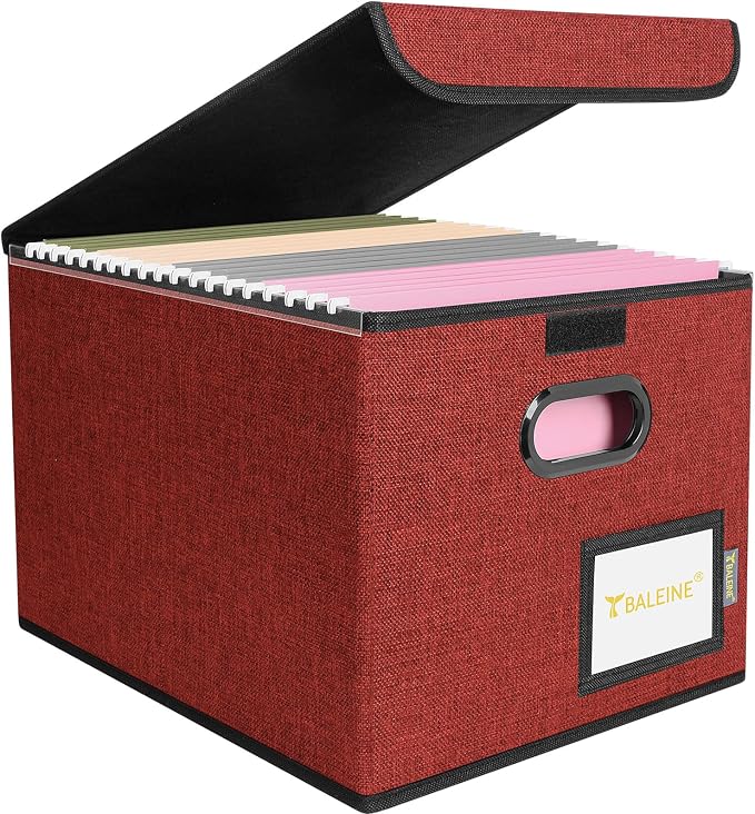 BALEINE File Organizer Box by BALEINE