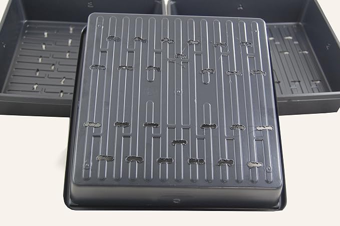 Plant Growing Tray - Image 2