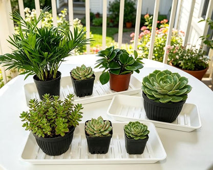 4 Pack Rectangular Plant Saucer 16 Inch, Heavy Duty Plastic Drip Trays - Image 4