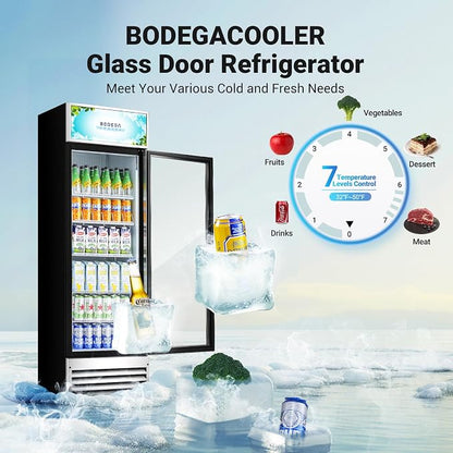 BODEGACOOLER Commercial Merchandiser Refrigerator, 12.5 Cu.Ft Glass Door - Image 3