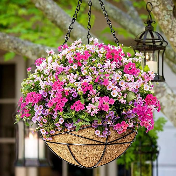2 Pack 10 Inch Hanging Planters - Image 2