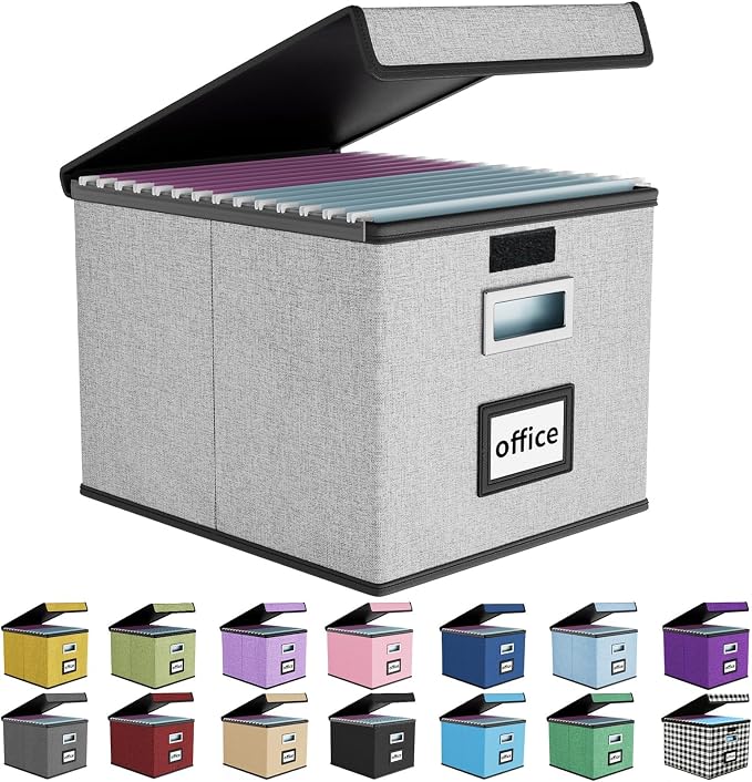File Organizer Box with Lids, Collapsible File Folder Organizer | File Box with by Huolewa