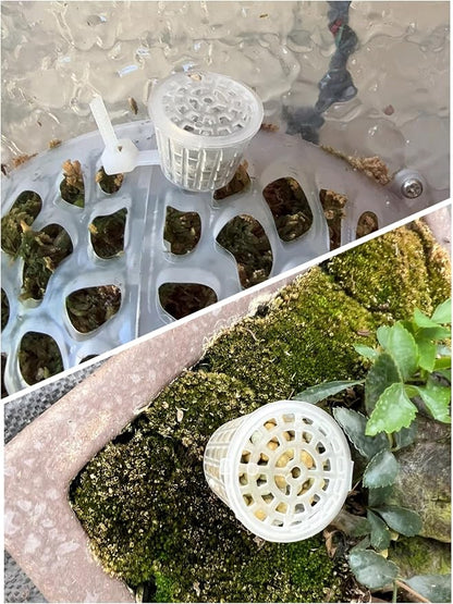 50pcs Clear Fertilizer Baskets, Bonsai Fertilizer Container Boxes - Image 6