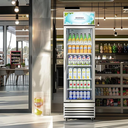 BODEGACOOLER Commercial Merchandiser Refrigerator, 12.5 Cu.Ft Glass Door - Image 9