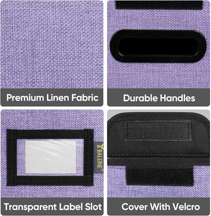 BALEINE File Organizer Box - Image 6