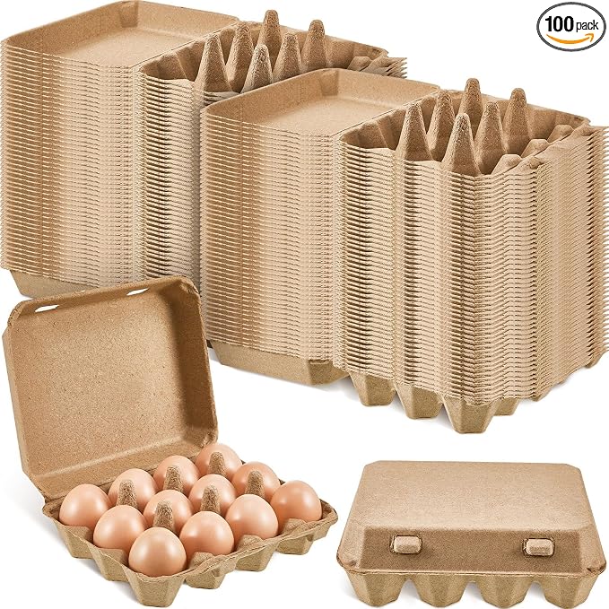 Rtteri 100 Pieces Paper Pulp Egg Cartons 3x4 Style Vintage Blank Egg Cartons by Rtteri