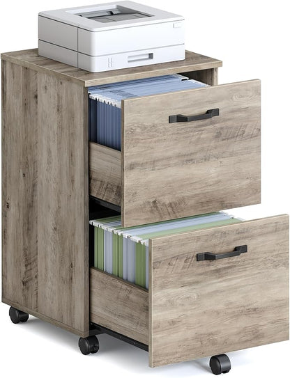 VASAGLE 2-Drawer File Cabinet, Small Rolling Filing Cabinet by VASAGLEbySONGMICSHOME