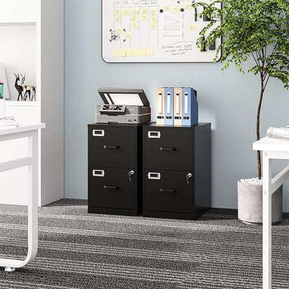2 Drawers File Cabinet Metal Vertical Filing Cabinets Metal Lockable Storage - Image 2