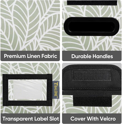 BALEINE File Organizer Box - Image 6